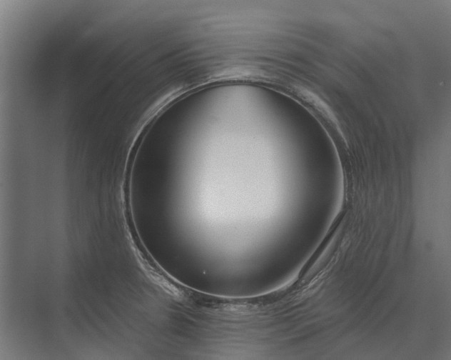 X0000073871330200608241124