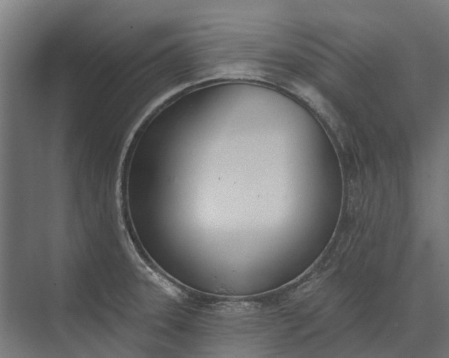 X0000073871331200608241124