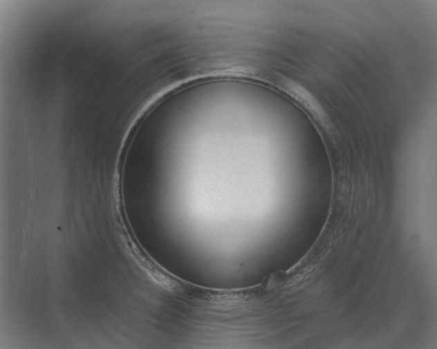 X0000073871332200608241124