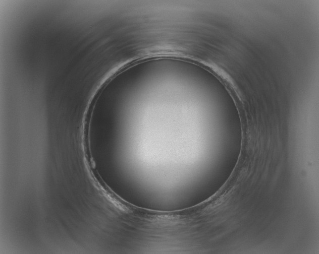 X0000073871333200608241124