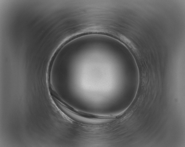 X0000073871334200608241124