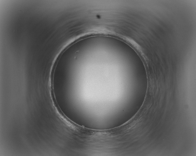 X0000073871335200608241124