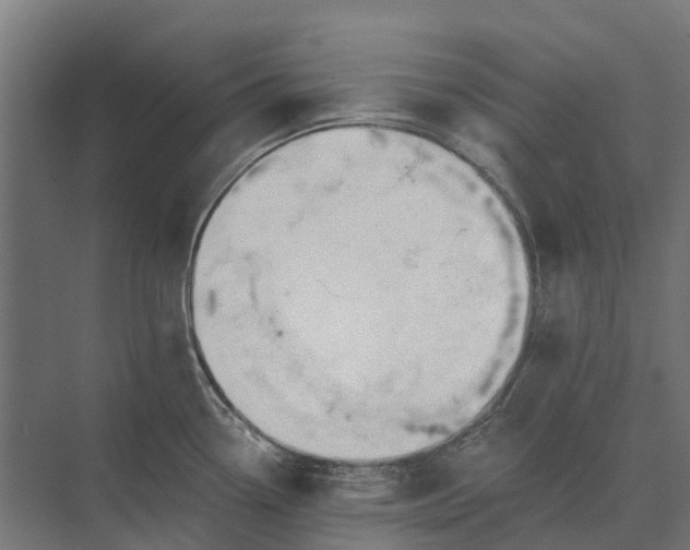 X0000073871338200608241125