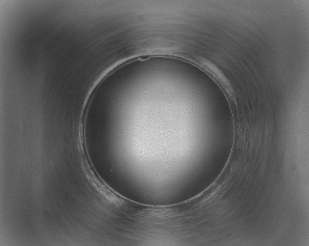 X0000073871340200608241125