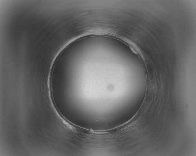 X0000073871343200608241125