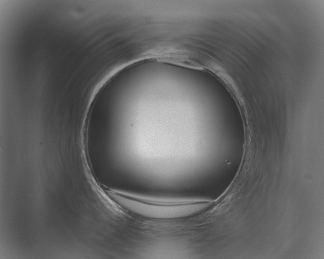 X0000073871344200608241125