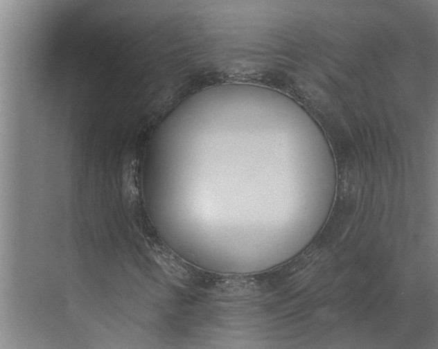 X0000073871346200608241124