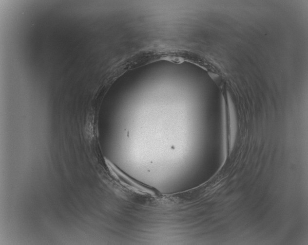 X0000073871348200608241124