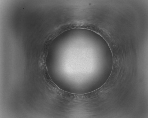 X0000073871349200608241124