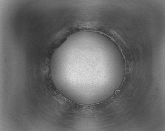 X0000073871350200608241124