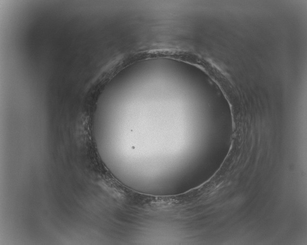 X0000073871351200608241124