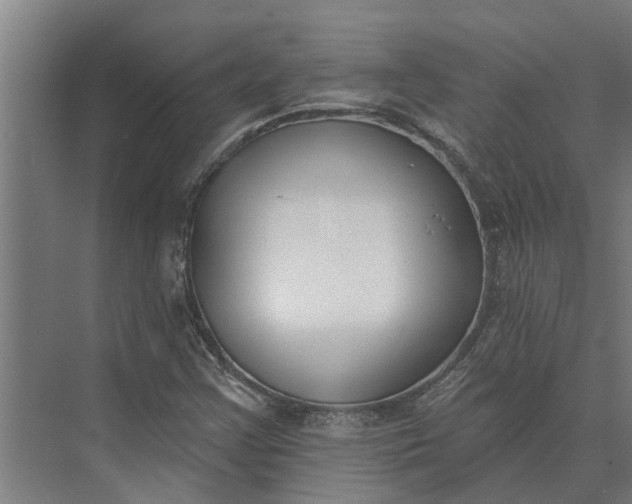 X0000073871355200608241124