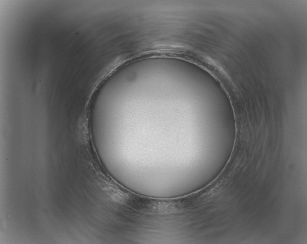 X0000073871362200608241124