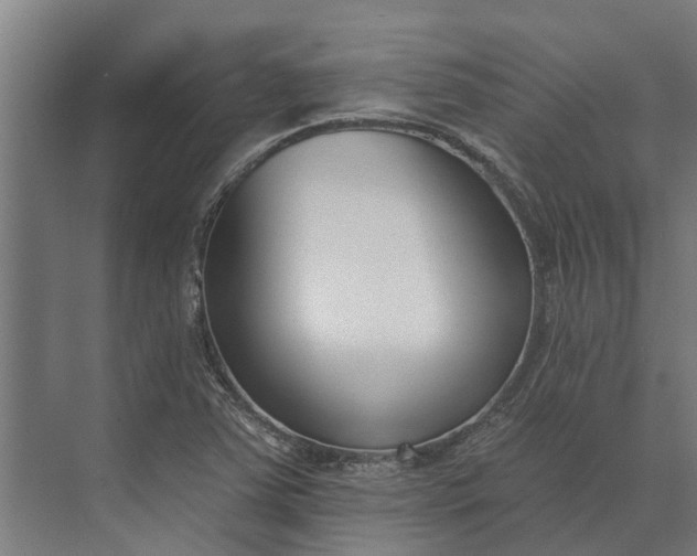 X0000073871363200608241124