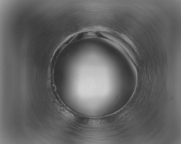 X0000073871364200608241123