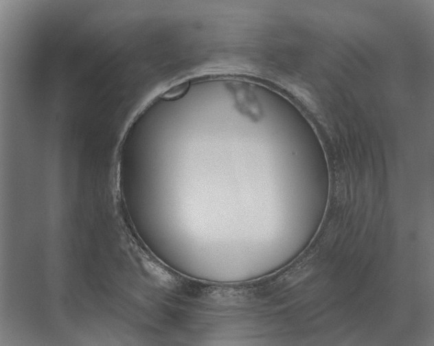 X0000073871366200608241123