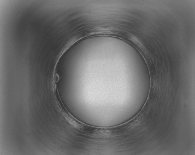 X0000073871370200608241123