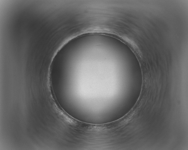 X0000073871374200608241123