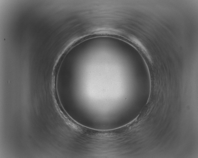 X0000073871376200608241123