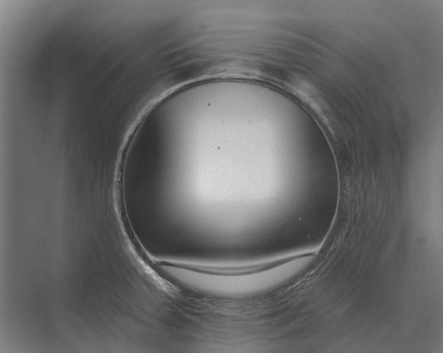 X0000073871379200608241123