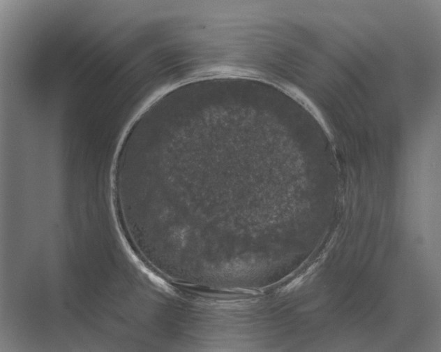 X0000073871381200608241123