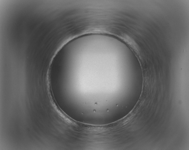 X0000073871382200608241123