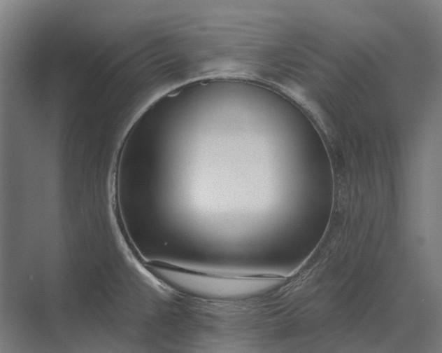 X0000073871383200608241123