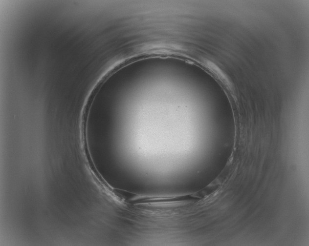 X0000073871384200608241123