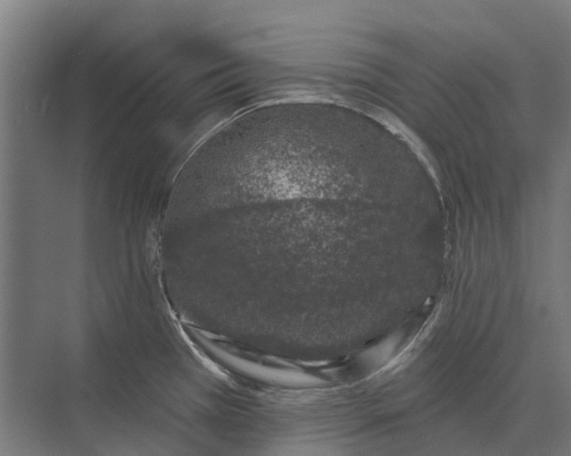 X0000073871385200608241123