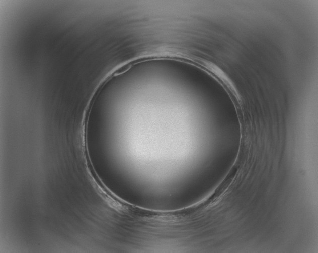 X0000073871388200608241123