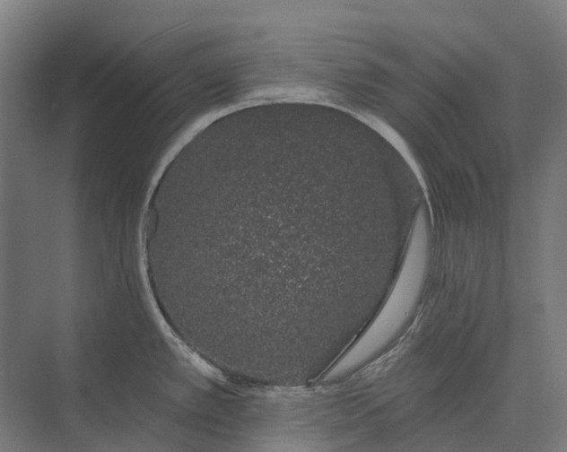 X0000073871389200608241123