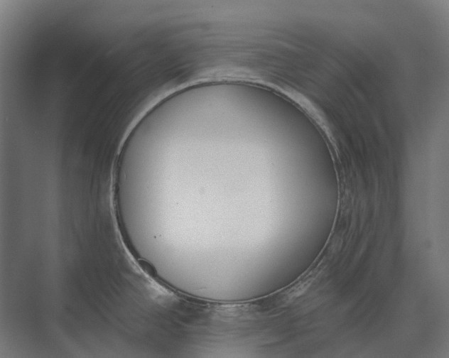 X0000073871390200608241123