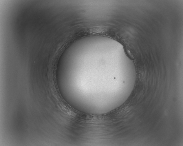 X0000073871393200608241122