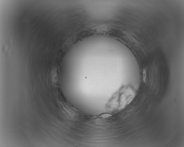 X0000073871395200608241122