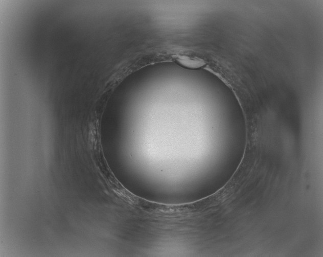 X0000073871397200608241122