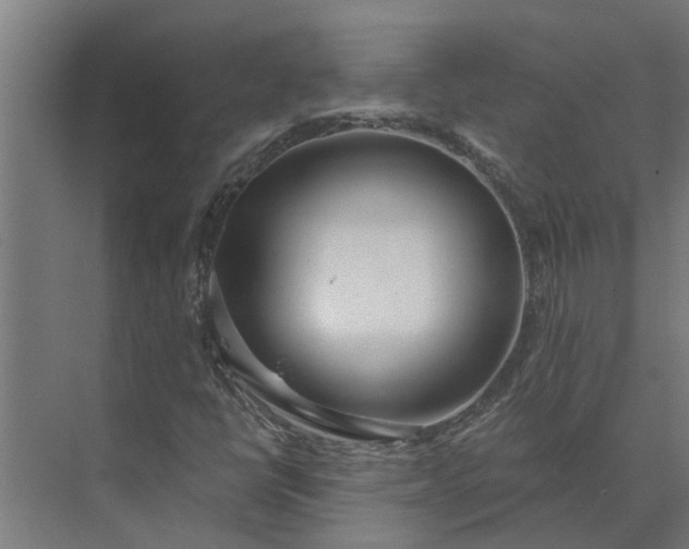 X0000073871398200608241122