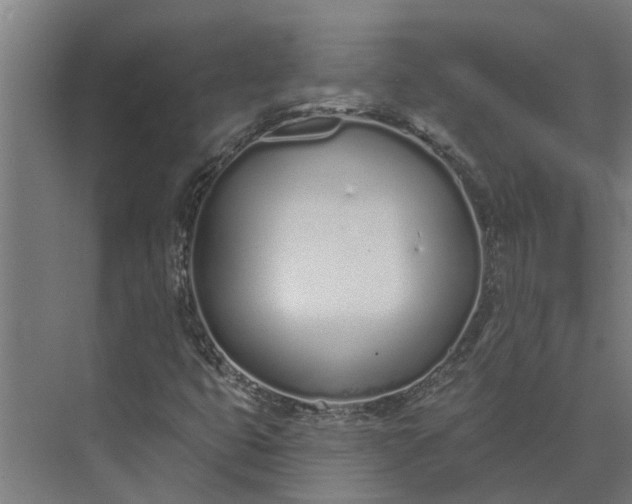 X0000073871399200608241122