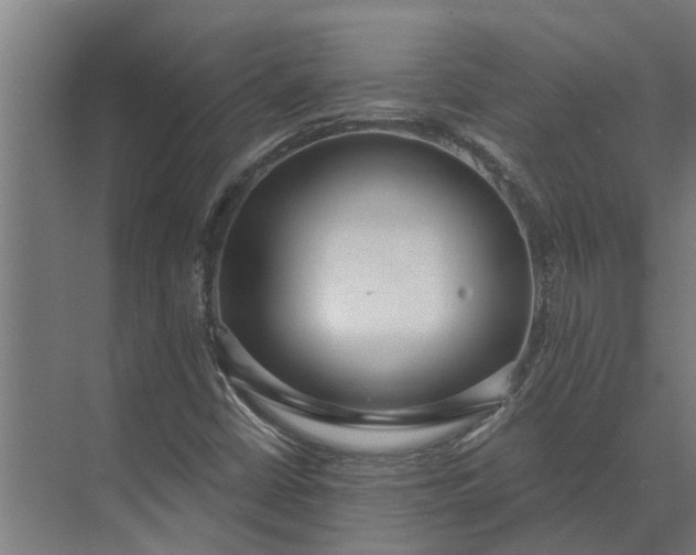 X0000073871402200608241122