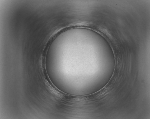 X0000073871404200608241122