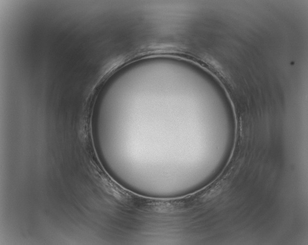 X0000073871405200608241122