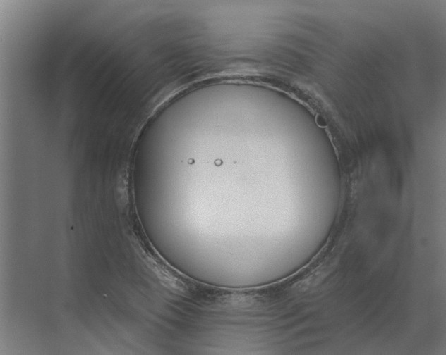 X0000073871409200608241122