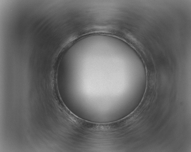 X0000073871411200608241122