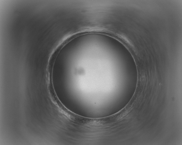 X0000073871414200608241123