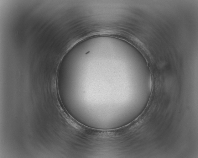 X0000073871417200608241123