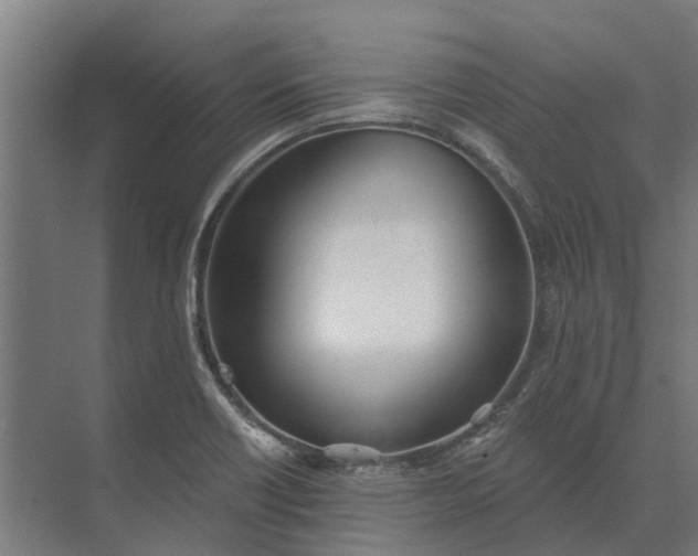 X0000073871418200608241123