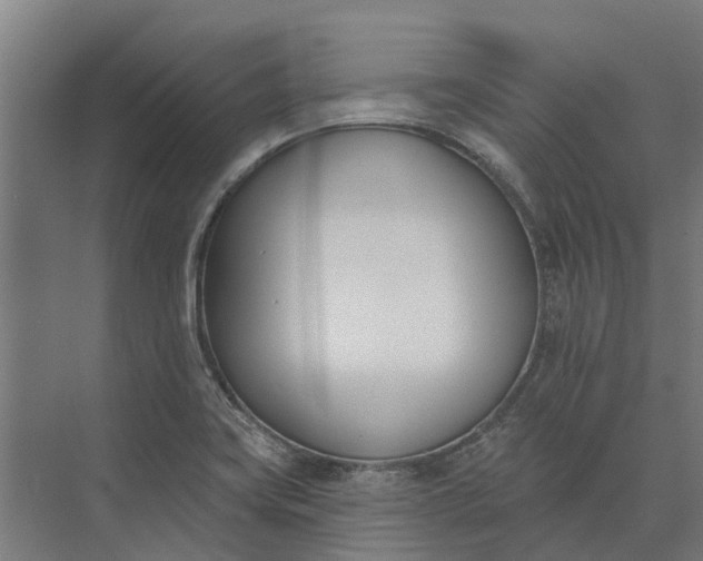 X0000073871419200608241123