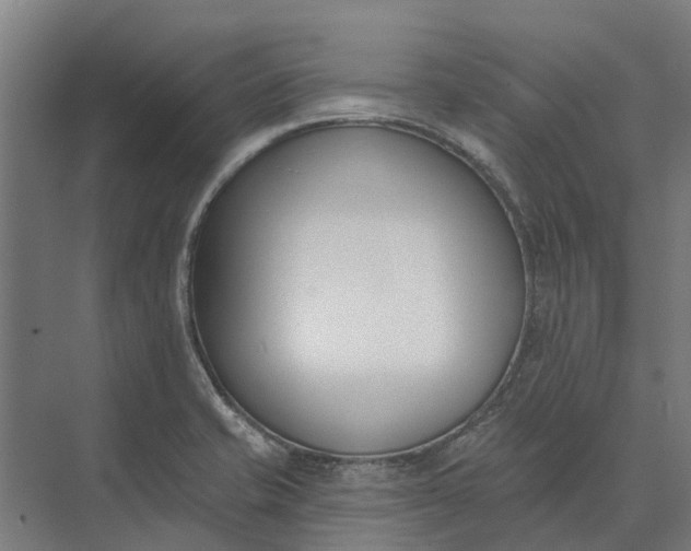 X0000073871421200608241123