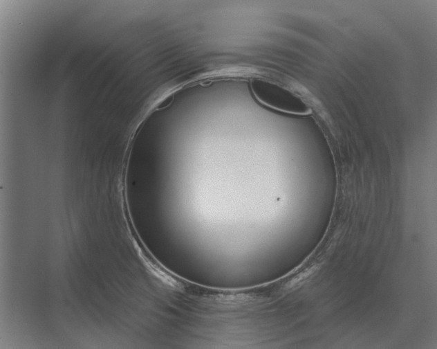 X0000073871425200608241123