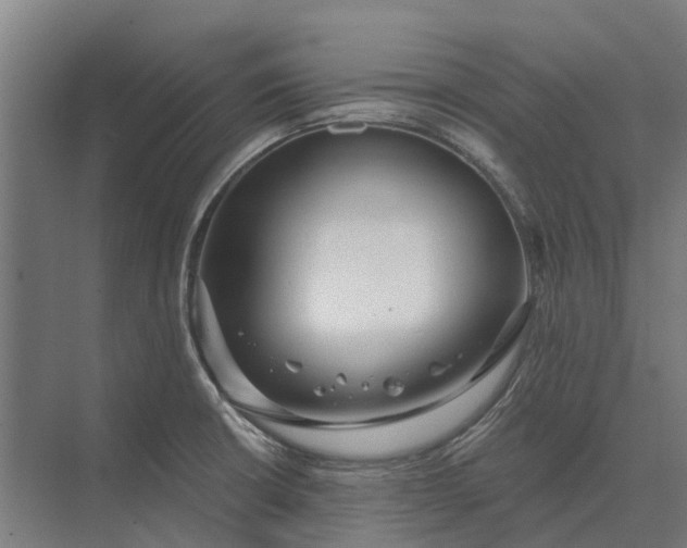 X0000073871426200608241123