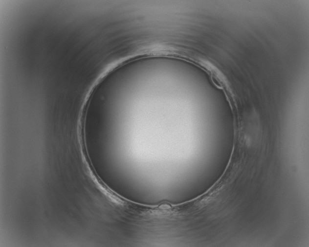 X0000073871429200608241123